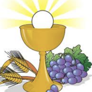 Schermafbeelding 2024-07-30 om 18.59.55 Ouderbijdrage EH Communie